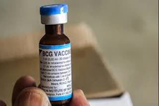  BCG vaccine given to 45 people KEM hospital