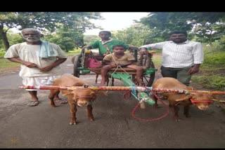 A Farmer Made the Goat Cart for the Happiness of His Grand Children's 