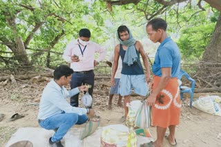 Seed distribution in Koopabandha of Kota