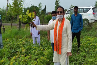 MLA during crop inspection