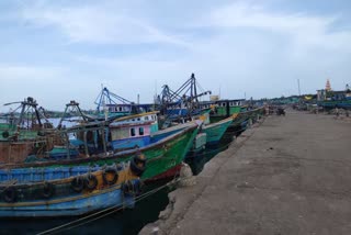 Government should provide employment - Rameshwaram Fishermen's Families