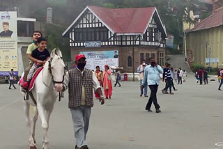 शिमल्यातील पर्यटन उद्योग