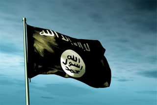 Islamic State most active in 12 Indian states: Govt to Parliament