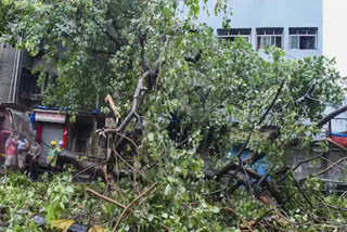 1 killed in alibag after electric pole falls on him as cyclone nisarga hits maharashtra