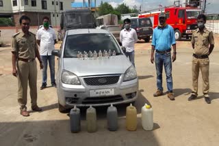 Illegal liquor seized chimur