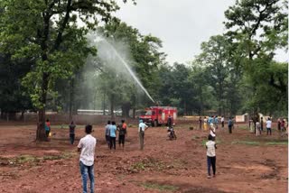 Locust swarm moved towards Kabirdham district