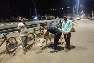 radium garland campaign started for animals in hazaribag