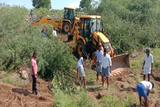 ஏரியில் சீமைக்கருவேல மரங்களை அகற்றும் இளைஞர்கள்