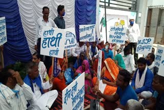 party workers during protest