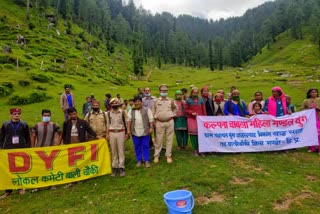 plantation of 4000 trees in boongajhalgad panchayat of mandi