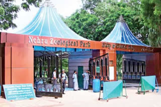 Reopened Neheru Zoological Garden