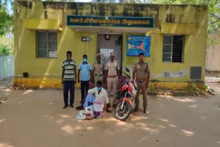 40Kg Sea Cucumber Seized In Rameshwaram