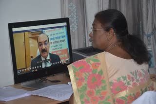 Online meeting of Town Official Language Implementation Committee