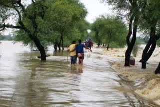बाढ़ से पीड़ित कई गांव.