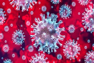 Coronavirus symbolic photo