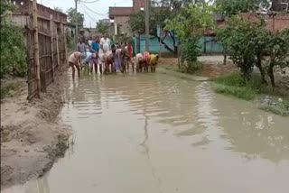 जलजमाव