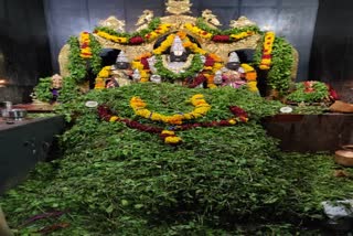 Laksha Tulsi Puja at Annavarappadu