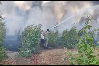 Fires erupt in 20-acre Jamail garden, fire broke out in farming 