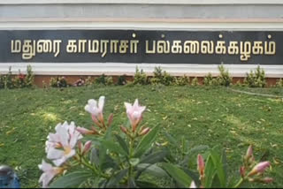 காமராசர் பல்கலைக்கழகம்