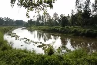 Raiganj kuliko river