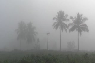 Heavy snowfall