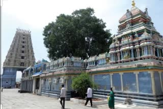 Gadidam venkataswamy temple open 