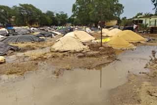 heavy rain in warangal rural district