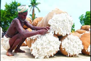 Namakkal Cotton Tender Farmers happy with price hike