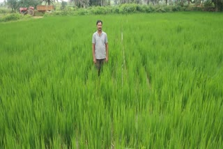 farmers of modern agriculture are growing in Bastar