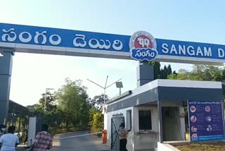 sangam dairy