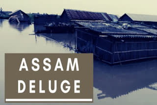 Assam's Kaziranga park flooded, 51 animals killed, 102 rescued