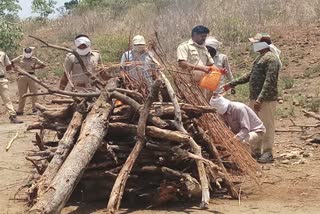 बिबट्याच्या मृत्यू प्रकरणातील तिघांना अटक 