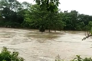 Bihar floods