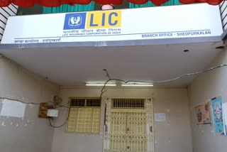 LIC office