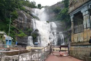 Extension of ban on public access to Courtallam Falls!