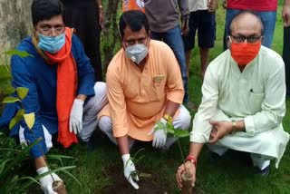 BJP started plantation program in Bokaro