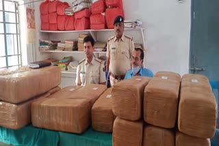 295 kg hemp worth Rs 50 lakh recovered in khagaria