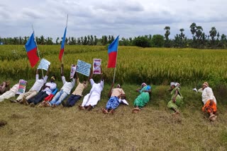 தஞ்சாவூரில் வேளாண் மசோதாவை கண்டித்து  தமிழ்நாடுஆதி திராவிடர் முன்னேற்றக் கழகத்தினர் நூதன போராட்டம்