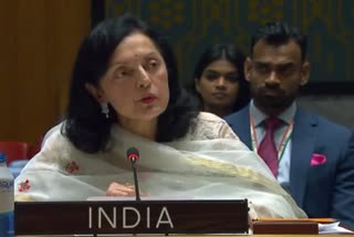 India dismisses as 'frivolous' Pakistan's attempt to raise Kashmir during UNGA Ukraine vote