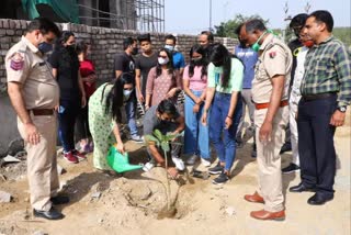 Jaipur news, World Forestry Day 