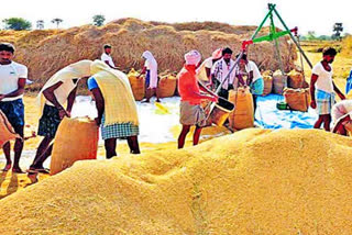 Rare record in grain purchase, crops in telangana 