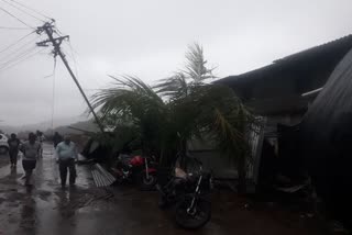 cyclone nisarga latest news