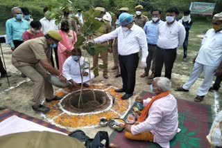 tree plantation mission 2020