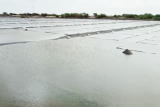 10 Thousand Acres Salt Submerged By Rain