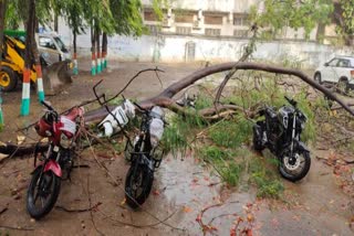 peddapalli Wrecked vehicles