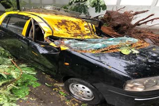 mumbai cyclone news 