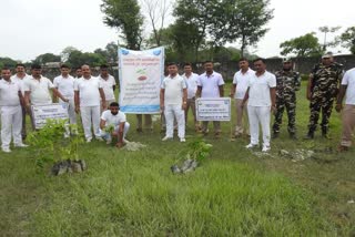 750 saplings planted under jal jiwan hariyali scheme 