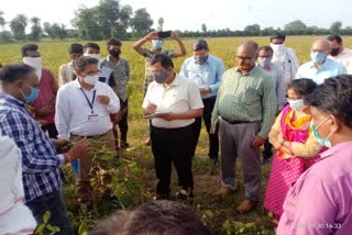 Inter Ministerial Central assesses soybean crop damage