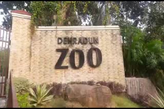 dehradun zoo 