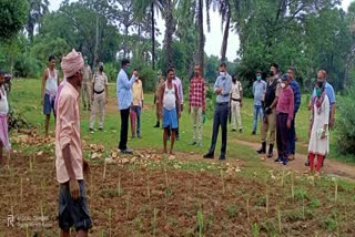 dm inaugurated office of agro farmer producer company and hariom b box and honey Industry